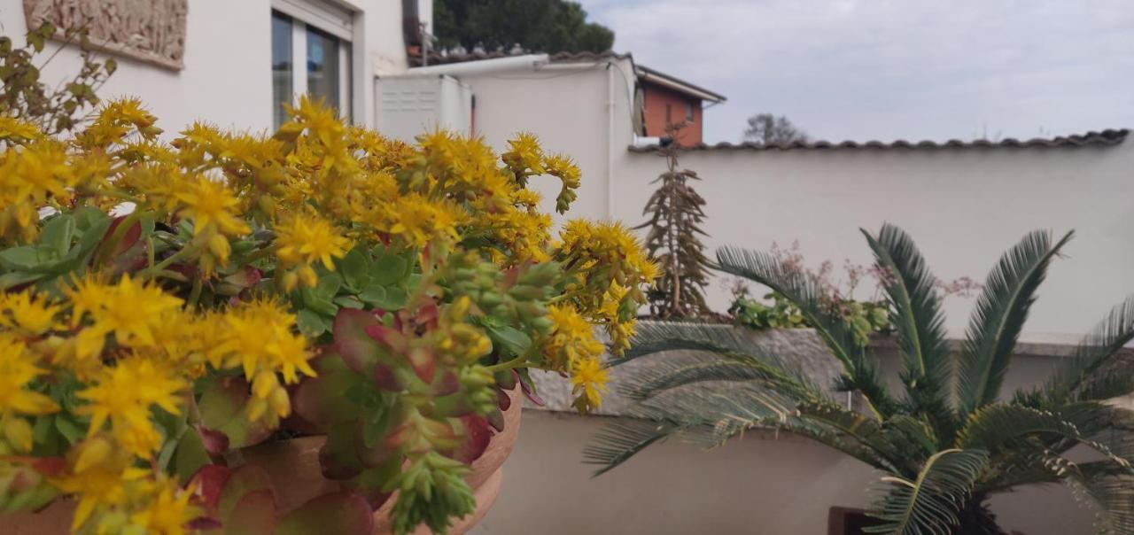 Hotel Hillary House Fiumicino Zewnętrze zdjęcie